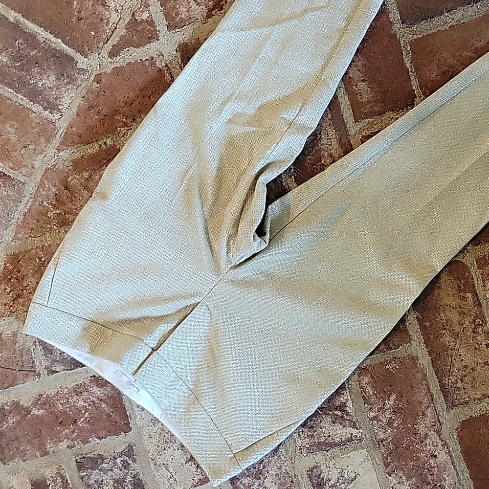 Boden Tailored Dress Pant Woven Metallic 6R